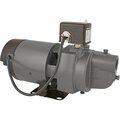 All-Source 1/2 HP Cast Iron Shallow Water Well Jet Pump ES05S